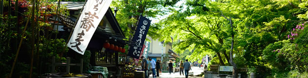 調布・府中