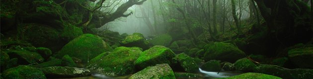 鹿児島