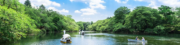 吉祥寺・中野・荻窪