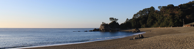 高知