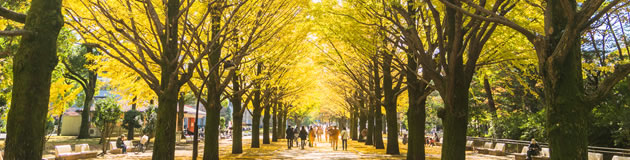 練馬・成増・板橋