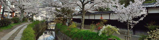 下鴨・北白川・平安神宮