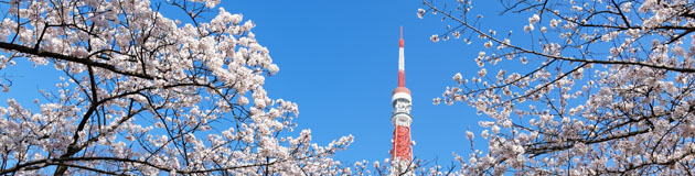 東京