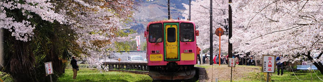 春旅